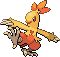 combusken.png