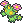 maractus.png