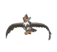 398-gif.55456