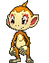 chimchar-gif.71279