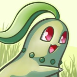 chirokita160-jpg.60657