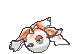 goldeen-f-gif.75192
