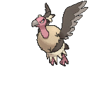 mandibuzz-gif.12068