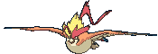 pidgeot-mega-gif.32085