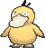 psyduck-gif.72495