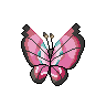 vivllion-back-gif.5411