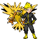 zapdosacetrainer-png.33311