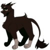 hollyleaf.png