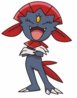 weavile.jpg