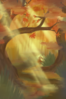 autumn2.png