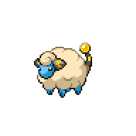 Sheep007