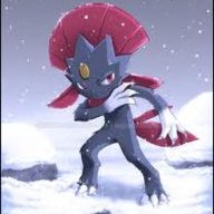 TheShadowWeavile