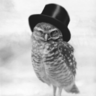 callcenterowl