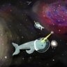 SpaceNarwhal