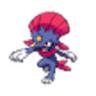 Weavile 4