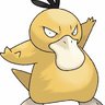 Alpha Male Psyduck