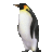 BigHairyPenguin