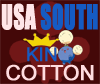 US South's flag