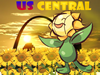 US Central's flag
