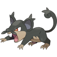 Alola Rattata