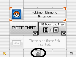 DS Main Bottom Screen