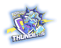 Thunders Playoff Logo