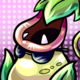 Ivy