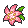 Gracidea
