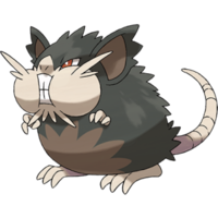 Alola Raticate