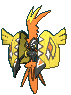 Tapu Koko