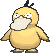 :Ss/Psyduck: