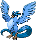 :bw/articuno: