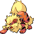 Arcanine