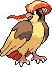 Pidgeot