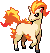 Ponyta