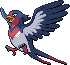 Swellow