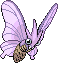 :dp/venomoth: