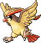 :rs/pidgeot: