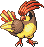 Pidgeotto