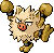 Primeape