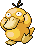 Psyduck