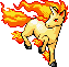 Rapidash