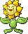 Sunflora