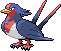 Swellow