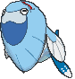 :ss/arctovish: