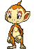 :ss/chimchar: