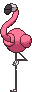 :swsh/flamigo: