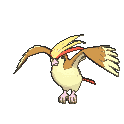 :swsh/pidgeot: