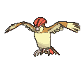 :sv/pidgeotto: