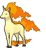 :swsh/rapidash: